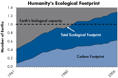 Earth's Footprint