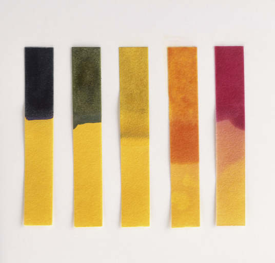 litmus paper